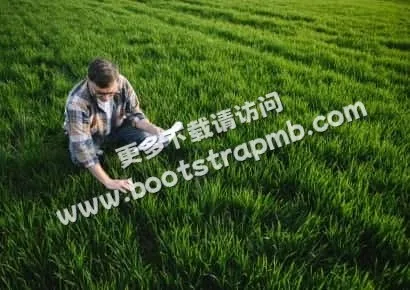 探索九游游戏的乐趣 - 九游娱乐