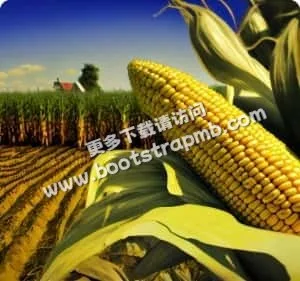 专业平台，安全下载 - 九游娱乐